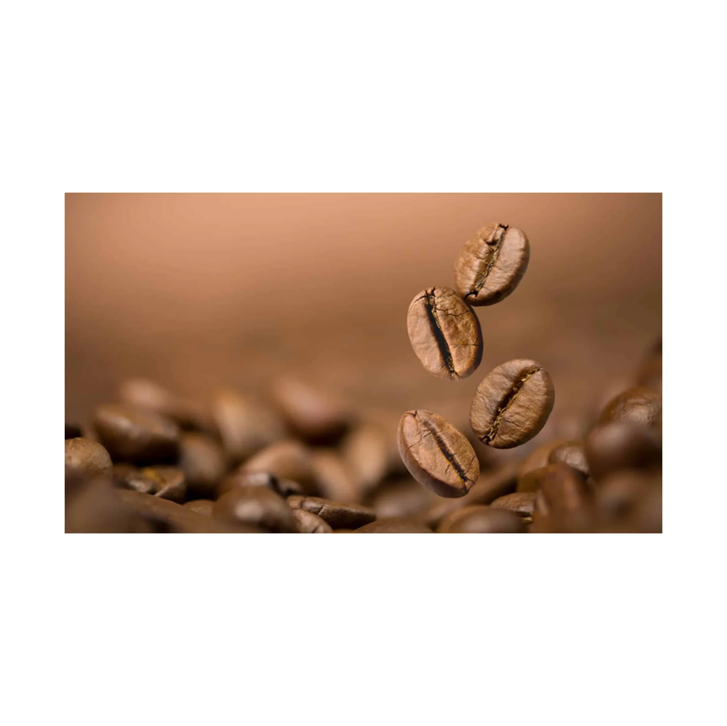 Brazilië Gewassen Proces Kwaliteit Arabica Koffiebonen Rauwe Bonen Groothandel