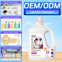 Bouteille de détergent liquide jetable écologique pour le linge, élimination des taches et des acariens des vêtements, 15%-30% d'ingrédients Rose Diana