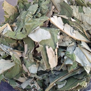 Top Choice Feuilles De Thé Feuilles De Lotus Séchées Viet Nam Faire Du Thé Application D'herbes De Cuisson Dans Les Deux Culinaires Poudre De Feuilles De Lotus Séchées - Product Image 2