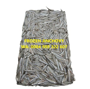 Poisson Anchois Congelé Type Noir taille 5-7cm prix pas cher fruits de mer - Product Image 1