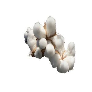 100% <b>Raw</b> Organic <b>Cotton</b> Fiber Best Quality with Low Price for Sale - Product Image 3
