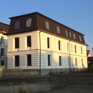 Panneau monolithique DAHIR INSAAT, livraison mondiale, produit de coffrage en béton conteneurisé provenant directement de l'usine - Product Image 4