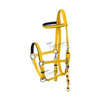 Ensemble de bridon et de rênes TECHIFY en nylon jaune pour cheval, avec peitorale et rênes réglables, équipement d'endurance