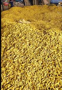 ผงขมิ้นทำจากธรรมชาติบริสุทธิ์100% จากผู้ส่งออกอินเดียซื้อจากขมิ้นฟิงเกอร์ดิบ - Product Image 5