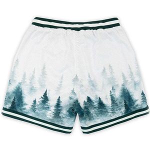 Custom Double <b>Layer</b> Breathable Summer Men's Casual Mesh Sports Shorts Pockets 100% Polyester Quick Dry Lightweight High Quality - Product Image 2