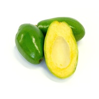 Verse avocado / Hass avocado, Fuerte avocado. Thaise leverancier
