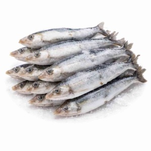 Sardinas Congeladas a Precio Competitivo, Suministro al por Mayor, Empresa Exportadora de Pescado - Product Image 3