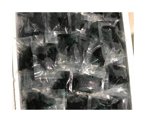 Fournisseur de vigne de mer salée du Vietnam - Caulerpa Lentillifera - Vigne de mer fraîche de qualité supérieure pour le marché de gros et les acheteurs exportateurs - Product Image 6