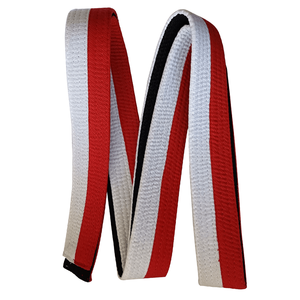 Cinturones de artes marciales personalizados Realsin MMA, de alta calidad, kárate, Taekwondo, cinturón de Color, venta al por mayor - Product Image 5