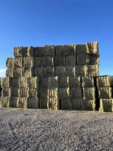 Alfafa Hay Feed/Meilleur Alfalfa à vendre Alfafa Hay Nourriture pour animaux Luzerne, foin/foin de luzerne de qualité supérieure Alfafa Hay - Product Image 2