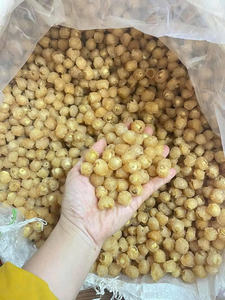 Longan Seco de Alta Calidad para Adultos, Niños e Infantes - para Postres, Cocina, Repostería, Procesamiento de Alimentos - Venta al por Mayor a Granel desde Vietnam - Product Image 3