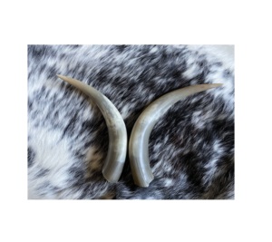 EAL-par de claxones de Búfalo, decoración de pared, artículos decorativos para dormitorio y pared - Product Image 2