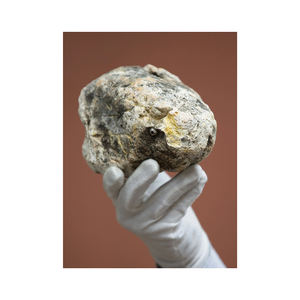 Cápsulas de extracto animal de ámbar gris blanco para aplicación Cosmética-Servicio OEM/ODM Pedidos a granel Precio de salida de fábrica para revendedores - Product Image 3