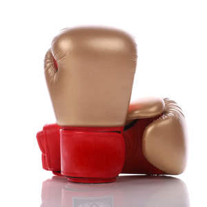 Guantes de Boxeo Profesionales Premium para Entrenamiento de MMA y Muay Thai, Guantes Unisex de Cuero Personalizados, Impermeables - Product Image 5