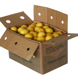 Fresh Adalia Lemon Premium Harvest Fresh Adalia Lemon disponible con sabor y aroma a cítricos naturales 100% - Product Image 1