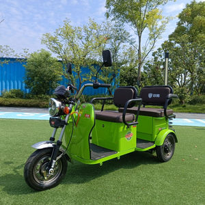 Eec Luxury <b>Electric</b> Tricycle 7500W Power <b>Pedicab</b> 1000W Differential Motor Open Body Steel Trike 60V 48V Passenger Tuk Tuk - Product Image 1