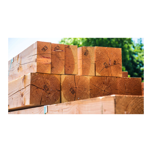 Madera de abeto Douglas a granel, organizada para adquisición a precio de descuento y envío eficiente - Product Image 1