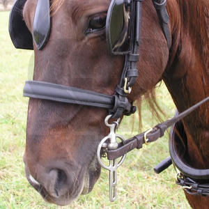 Bocados ajustables de acero inoxidable para caballos con soporte lateral estable que evita el deslizamiento del bocado para entrenamiento y uso en carruajes - Alta calidad - Product Image 3
