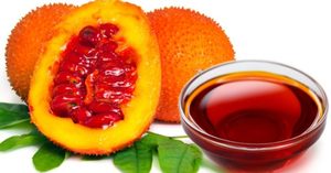 Momordica cochinchinensis huile Gac huile Viet Nam Cochinchin gourde haute qualité - Product Image 4