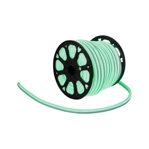 EUROLITE LED <b>Neon</b> <b>Flex</b> 230V Slim Green 100cm - Product Image 1