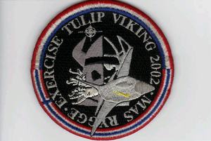 Champ King – Patchs en PVC brodés et tissés en caoutchouc, durables et élégants, 80g, porte-clés personnalisés avec logo, accessoires de mode sur mesure - Product Image 5