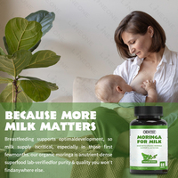 Capsules de Moringa Complément d'Allaitement pour une Production de Lait Maternelle Accrue Stimulation Nutritionnelle du Nourrisson Moringa Issu de Sources Durables