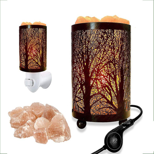 Prix de gros panier paniers en fer forgé de l'Himalaya avec morceaux 2025 nouveauté lampe au sel personnalisée - Product Image 4