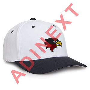 Fábrica personalizada bordado personalizado deportes negro béisbol no estructurado papá gorra sombrero gorras sombreros unisex - Product Image 5