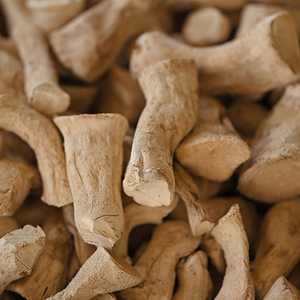 BOOSTEZ VOTRE BIEN-ÊTRE AVEC NOS TIGES DE CHAMPIGNONS SHIITAKE NUTRITIFS - Product Image 2