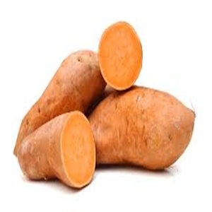 Orange-Fleshed Nutrient Rich Sweet <b>Potato</b> Available atModerate Prices - Product Image 1