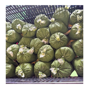 Feuilles de manioc congelées naturelles, Feuilles de manioc congelées abordables, Congé de tapioca avec processus IQF, BQF - Product Image 5