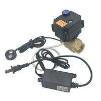 Prix du fabricant pour maison intelligente détecteur de fuite d'eau portable dispositif d'alarme avec vanne à bille électrique arrêt automatique des fuites