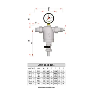 Filtre de système Far 3943 à haut débit, 1/2 pouce, en acier inoxydable chromé, avec raccords mâle-mâle et manomètre - Product Image 2