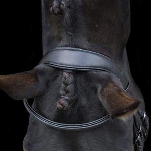 Brida para Caballo Ecosoft Finesse SidePull de Cuero Genuino - Diseño Personalizado, Logotipo Personalizado, Talla Personalizada, Color Negro - Product Image 6