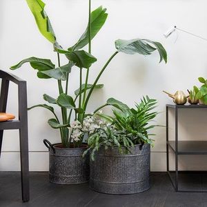 farmhouse galvanized <b>planter</b> bucket with durable build and classic style for <b>herbs</b> or faux plants in home decor - Product Image 5