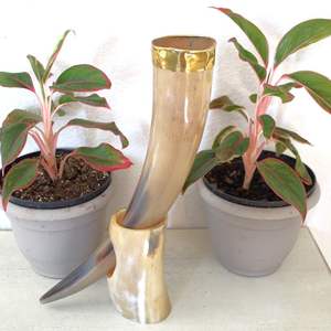 Tasse Viking à boire pour moulage jante en laiton avec support en corne à vendre meilleure qualité Buffalo Ox Corne à boire naturelle BY HF CRAFTS - Product Image 4