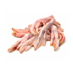Proveedor de Patas de Pato al por Mayor, Patas de Pato Frescas Congeladas de Alta Calidad para Restaurantes, Hoteles y Empresas de Catering - Product Image 5