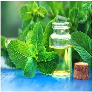 Huile essentielle de Mentha Piperita en gros, huile aromatique de menthe poivrée distillée à la vapeur en vrac pour la fabrication de savon, les cosmétiques, l'aromathérapie et le spa - Product Image 1