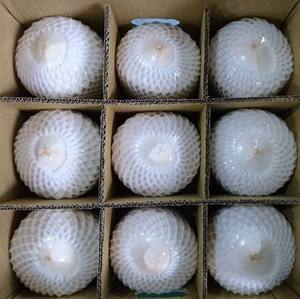 Noix de coco en forme de diamant 100% boisson à la noix de coco au goût naturel Jeune qualité supérieure - Product Image 5