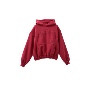 Sweat à capuche brodé pour femme, en molleton de coton épais, coupe oversize, respirant, séchage rapide, écologique, vente en gros, personnalisable - Product Image 3