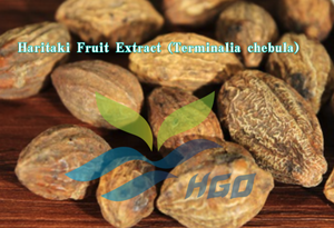 Suministro Directo de Fábrica de Extracto de Fruta de Haritaki Natural (Terminalia chebula) Especificación de Grado Alimenticio Extracto con Relación 10:1 - Product Image 2