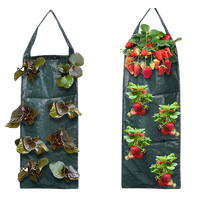 Sac de culture suspendu pour fraises en PE avec capacité personnalisable et réutilisable