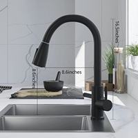 Pulvérisateur à tirette en acier inoxydable 304 Robinet de cuisine à poignée unique Pulvérisateur à tirette