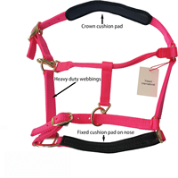 CABALLO EQUINO NYLON/ PP HALTER ACCESORIOS PERSONALIZADOS TODOS LOS TAMAÑOS VARIOS COLORES MONTA A GRANEL CABALLEROS INGLES DE LA INDIA