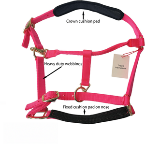 CABALLO EQUINO NYLON/ PP HALTER ACCESORIOS PERSONALIZADOS TODOS LOS TAMAÑOS VARIOS COLORES MONTA A GRANEL CABALLEROS INGLES DE LA INDIA - Product Image 5