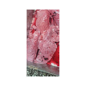 Poumon de porc congelé de qualité supérieure, qualité A, emballage en vrac, origine France, 1 kg, provenant d'installations certifiées et conforme aux normes d'hygiène - Product Image 3