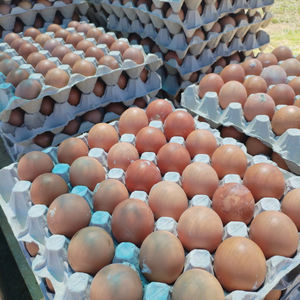 Huevos Frescos de Gallina de Corral Marrones y Blancos en Oferta - Product Image 1