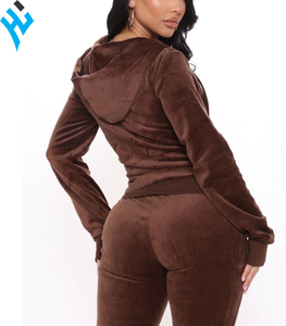 2025 nuevo estilo de lujo con cremallera y cordón con capucha y Jogger moda casual primavera temporada chándal de terciopelo - Product Image 2