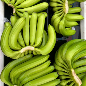 Plátanos Cavendish vietnamitas, calidad de exportación Premium para los Emiratos Árabes Unidos - Product Image 1