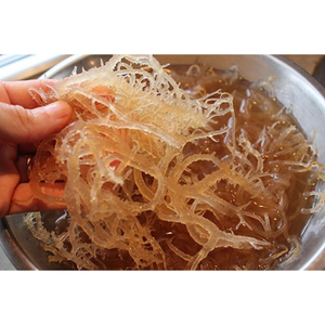 ส่วนลดสำหรับลูกค้าใหม่ลด15% การซื้อครั้งแรก-มอสทะเลไอริชปรุงรสแบบยั่งยืนและแพ็คจำนวนมากแบบแห้ง - Product Image 4